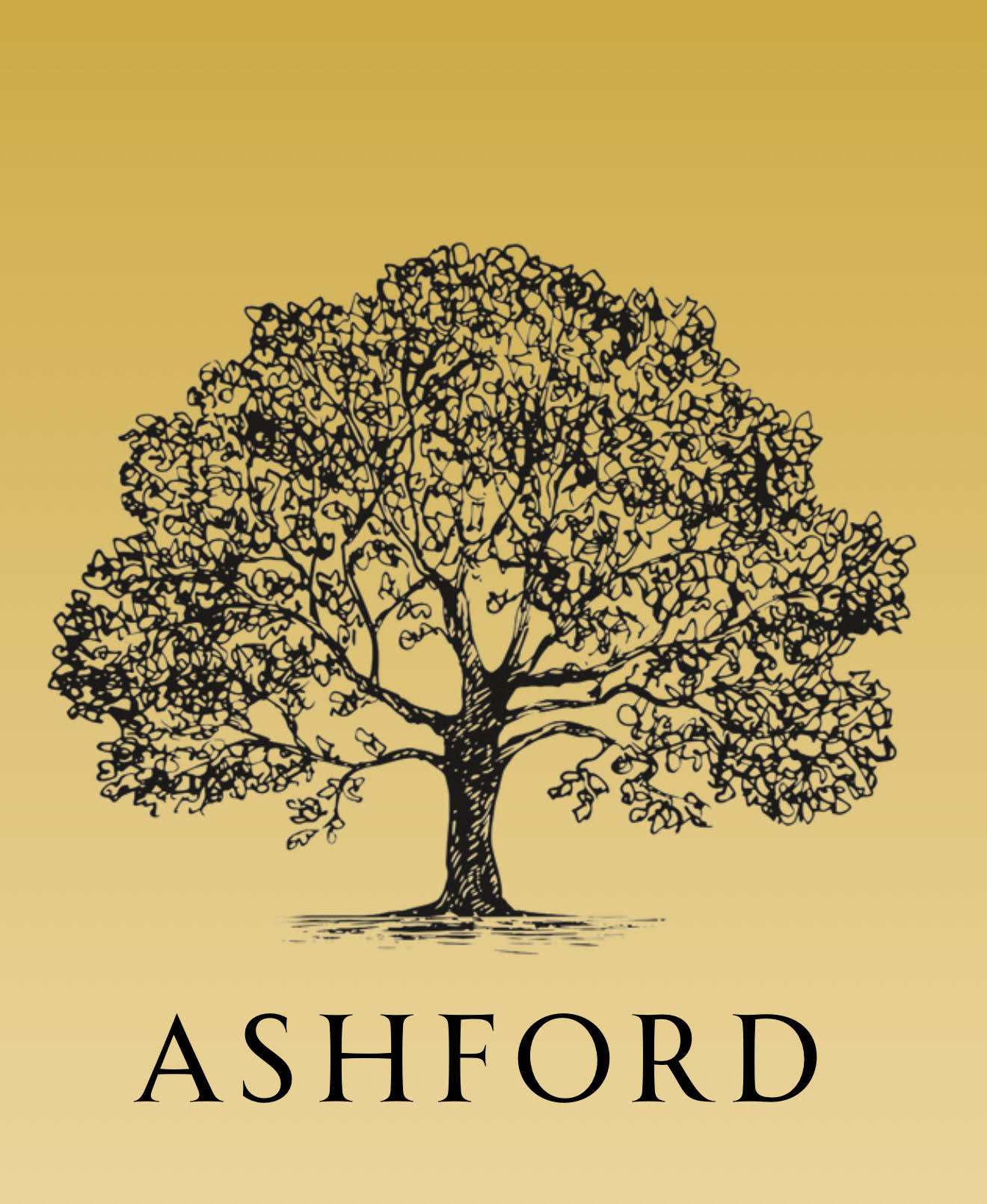 Ashford Motors Approved